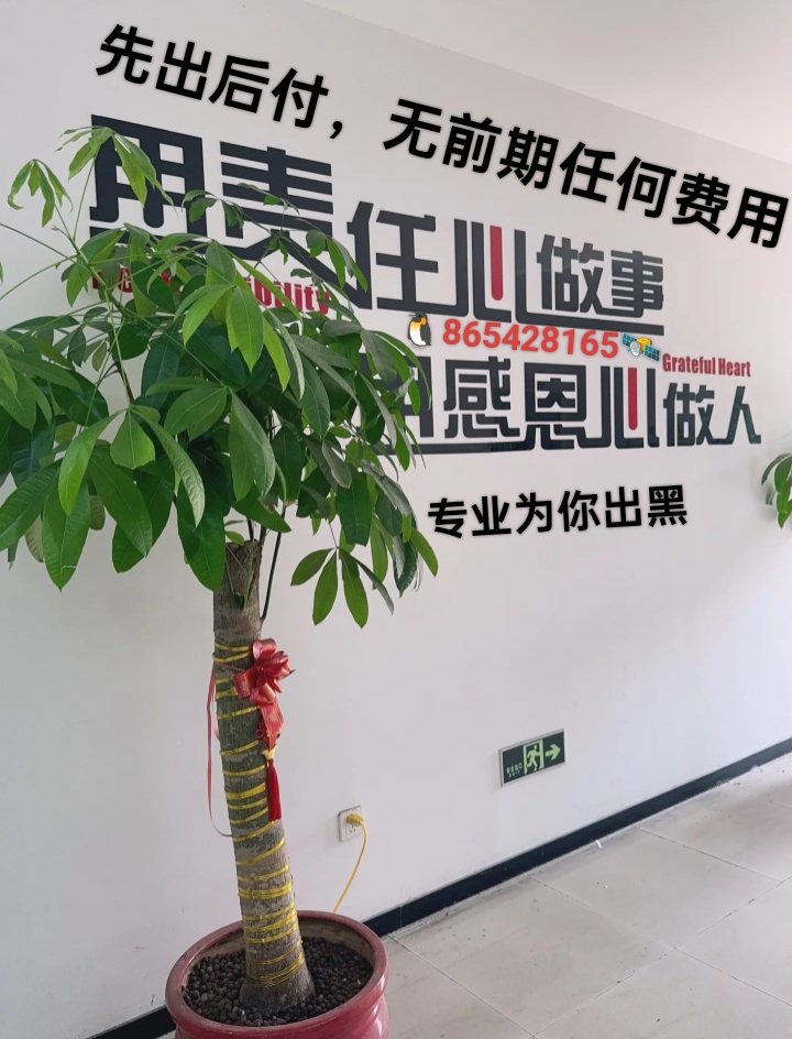 b05d5d359eed4c538b28493eace1d139-IMG20260528133848.jpg